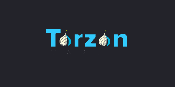 Torzon Market Logo